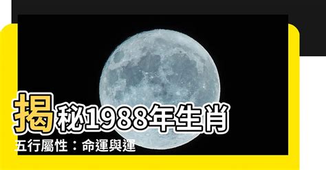 銀屬性|2024年銀五行屬性變化大揭秘